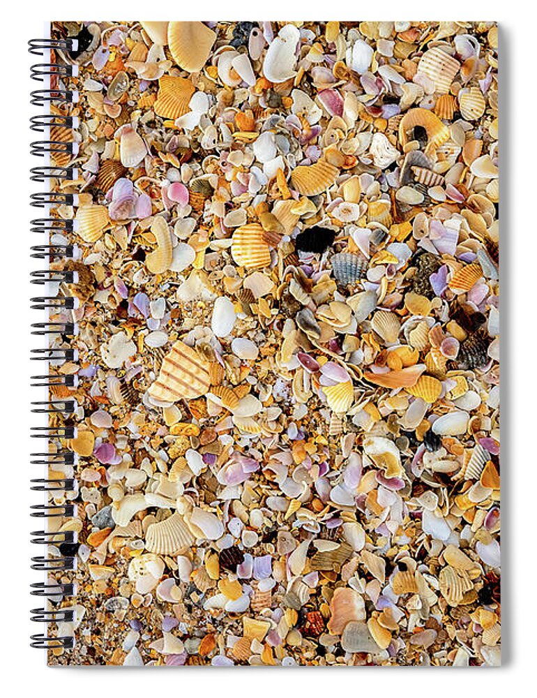 Atlantic Ocean Spiral Notebook featuring the photograph Sea Shells by Norman Peay