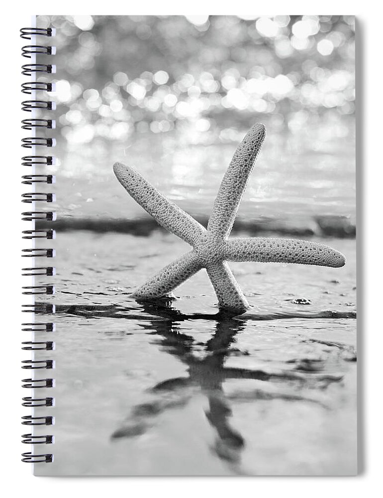 Beach Spiral Notebook featuring the photograph Sea Star BW by Laura Fasulo