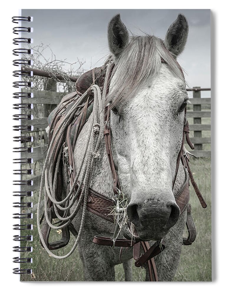 Cliburn Ranch Spiral Notebook featuring the photograph Seadrift, Texas by Maresa Pryor-Luzier