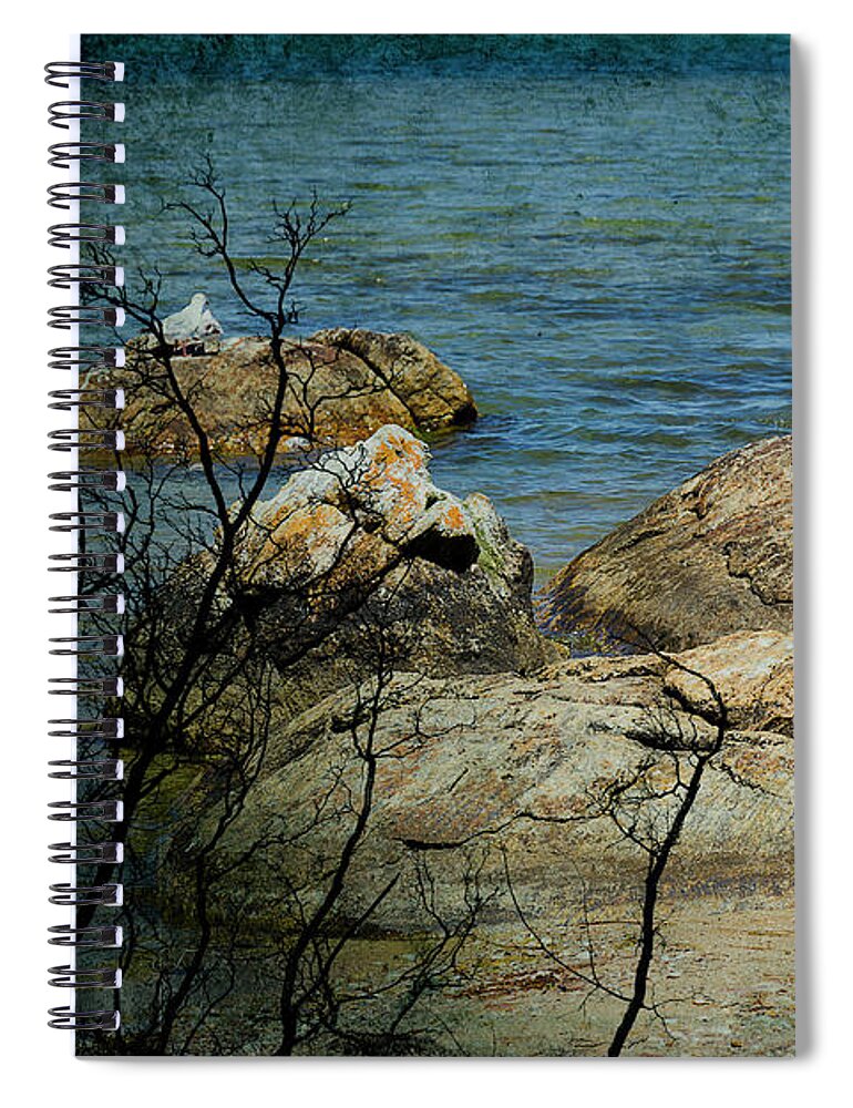 Rocks Spiral Notebook featuring the photograph Seagull on a Rock by Elaine Teague