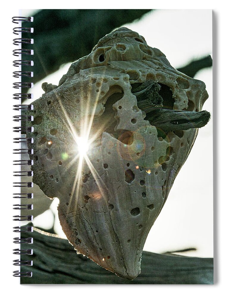 Seashell Spiral Notebook featuring the photograph Seashell and Sun by John Kirkland