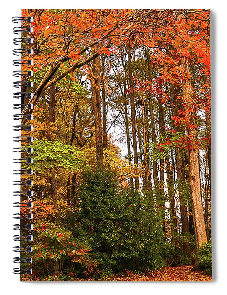 Trees Spiral Notebook featuring the photograph Season of Colors by Ola Allen