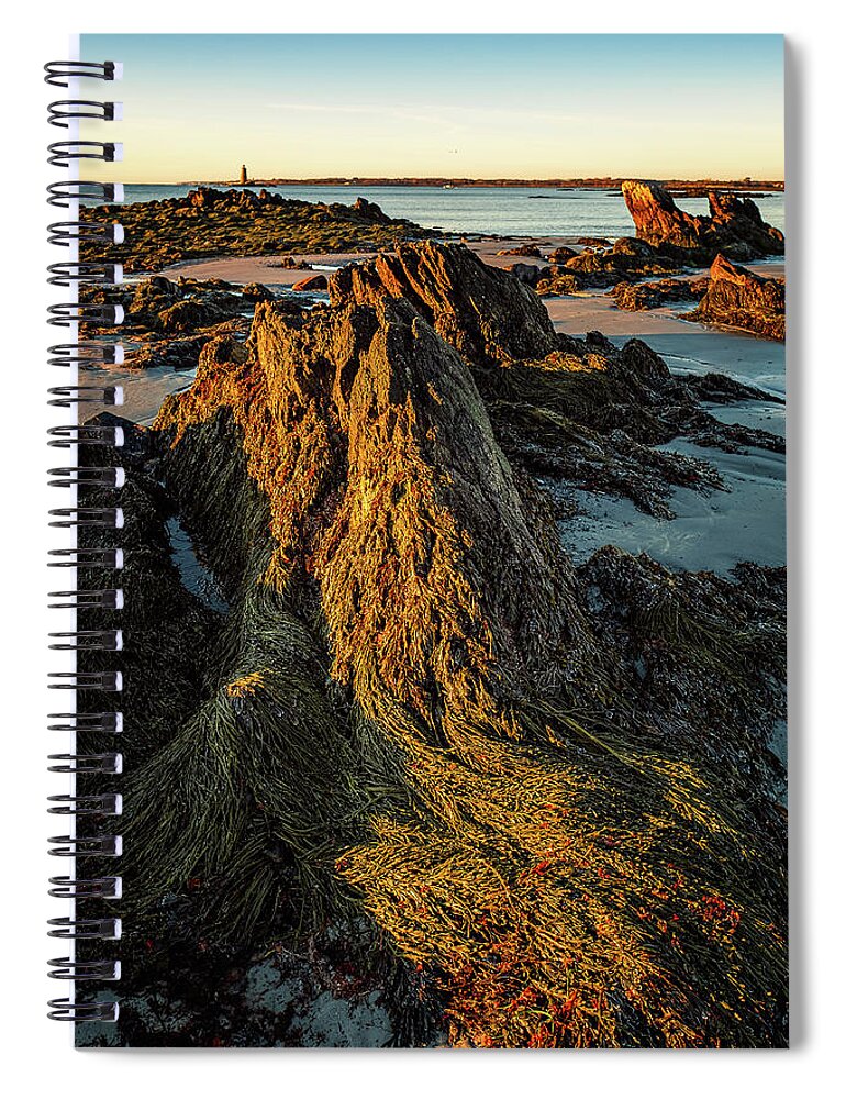 New Hampshire Spiral Notebook featuring the photograph Seaweed Over Rocks At Low Tide, Fort Foster. by Jeff Sinon