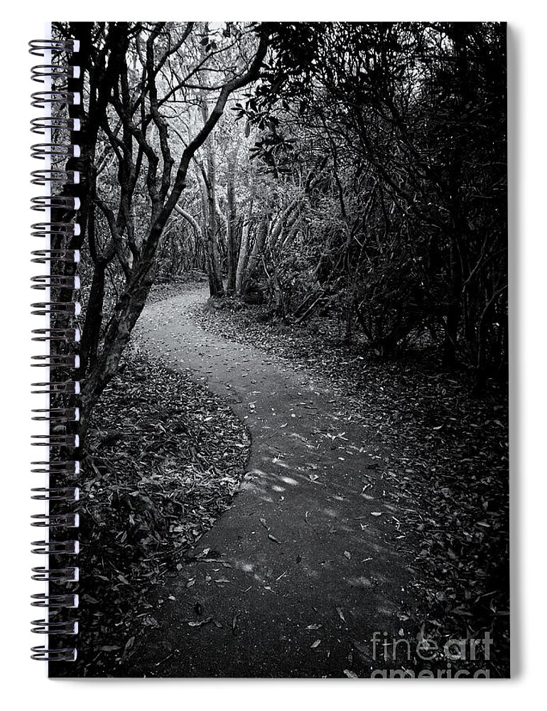 Blue Ridge Parkway Spiral Notebook featuring the photograph Second Falls 12 by Phil Perkins