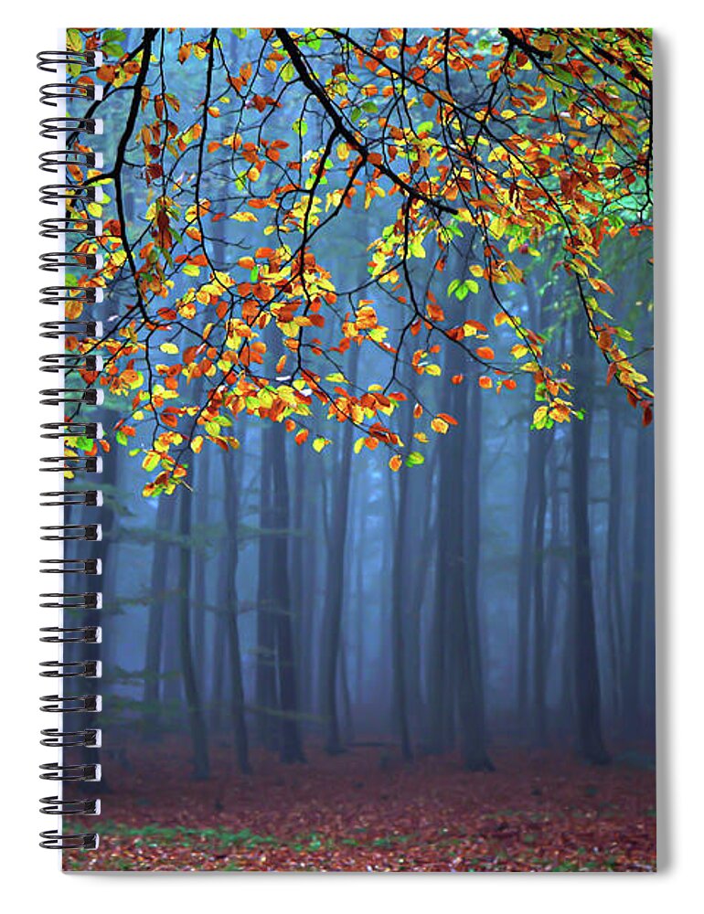 Autumn Spiral Notebook featuring the photograph Seconds Before The Light Went Out by Roeselien Raimond