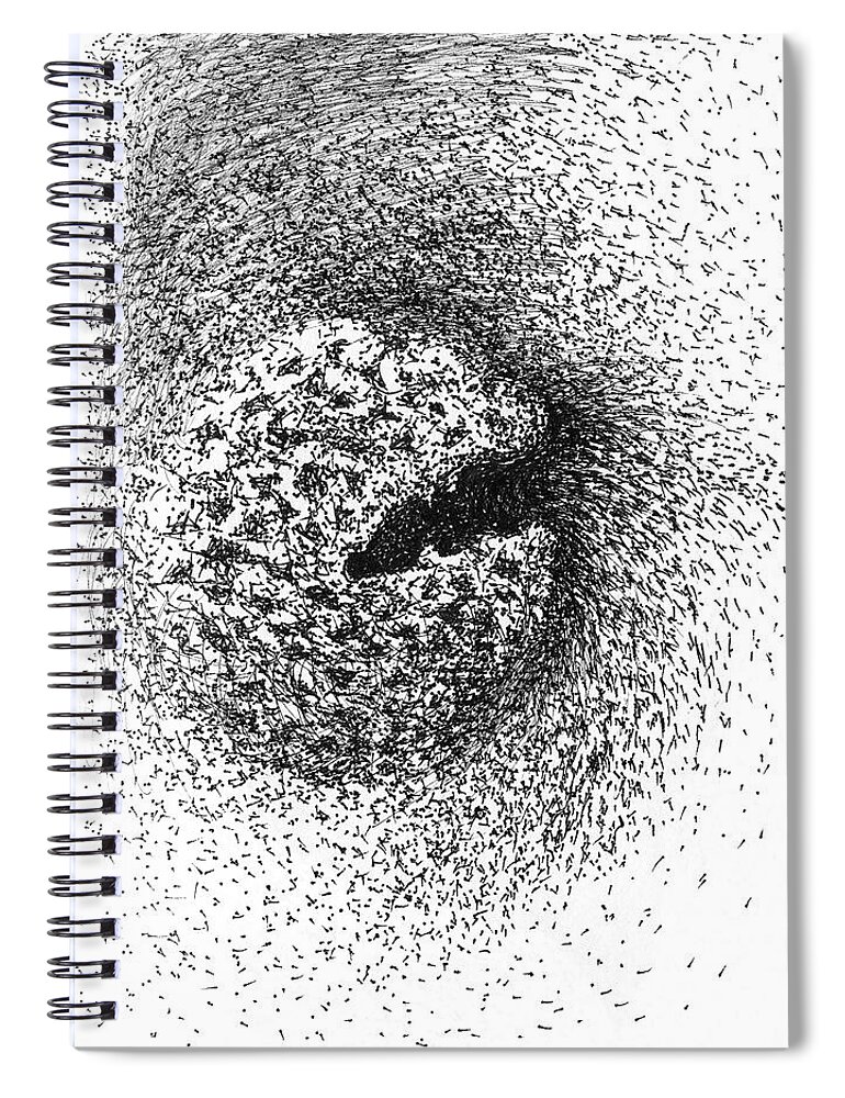Seed Spiral Notebook featuring the drawing Seedpod Too by Franci Hepburn