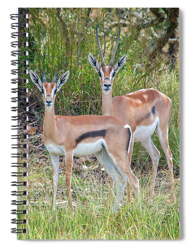 Texas Hill Country Spiral Notebook featuring the photograph Seeing Double by Lynn Bauer