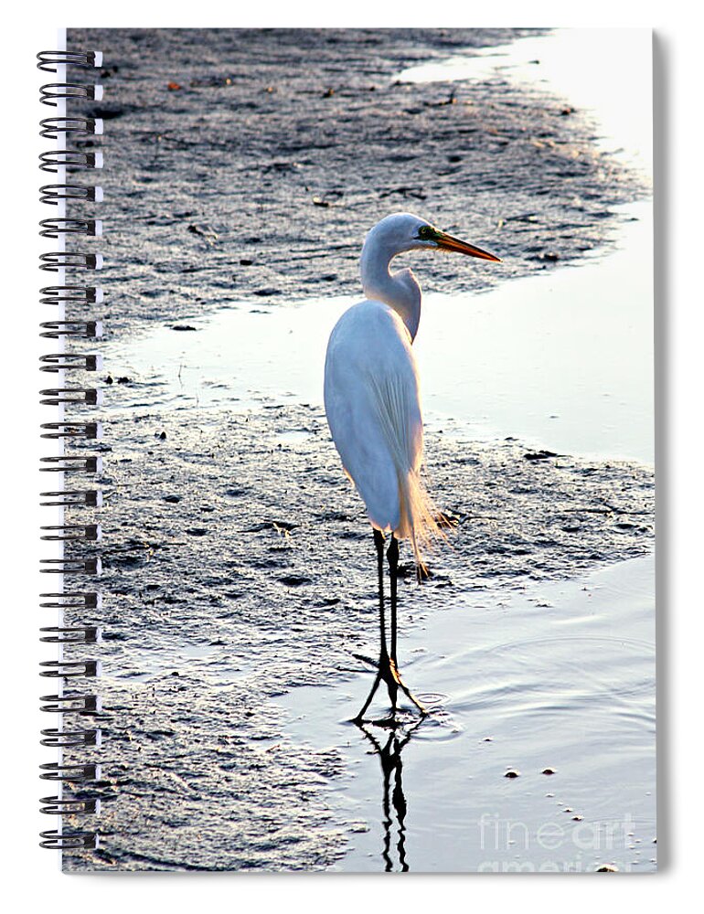 Great Egret Spiral Notebook featuring the photograph Sentinel by Hilda Wagner