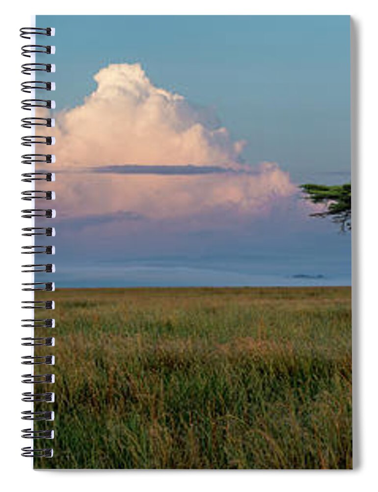 Africa Spiral Notebook featuring the photograph Serengeti Sunrise by Sandra Bronstein