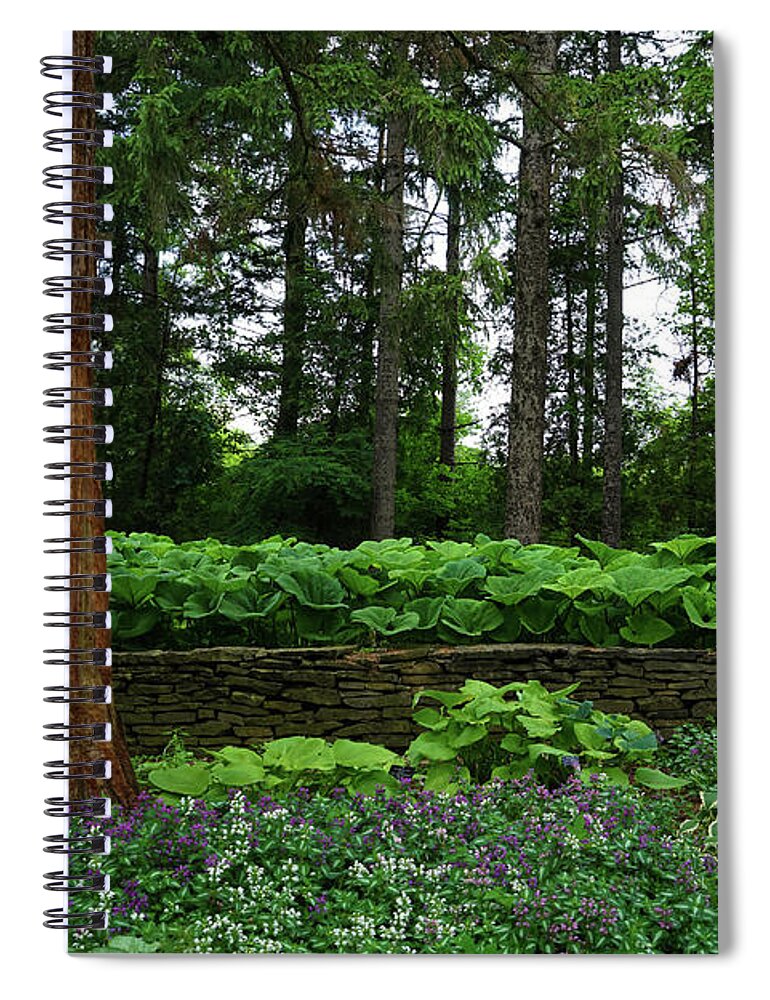 Shaded Garden Spiral Notebook featuring the photograph Shaded Garden by Rachel Cohen