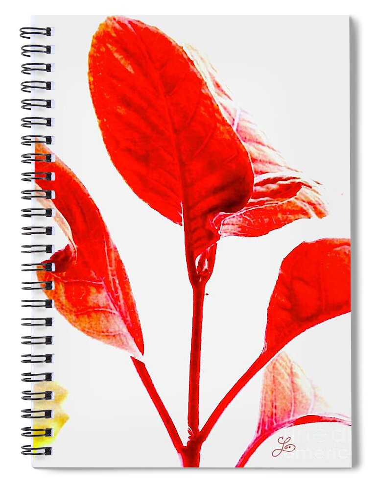 Flowers Plants Leaves Yellow Red Chartreuse Pink White Pattern Spiral Notebook featuring the digital art Shades of Red by Lynne Paterson