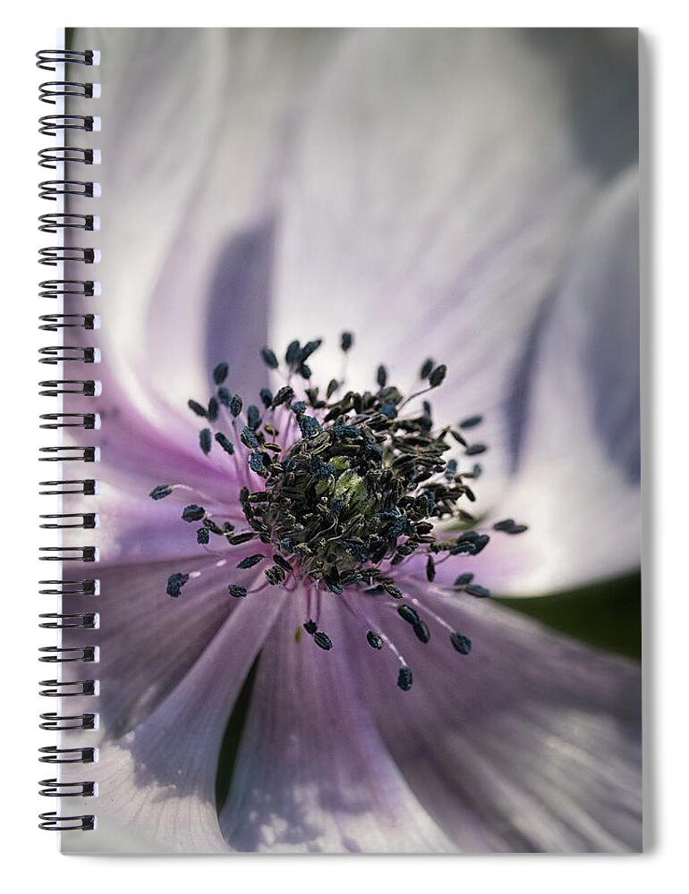 Flowers Spiral Notebook featuring the photograph Shades Of Spring 4 by Robert Fawcett