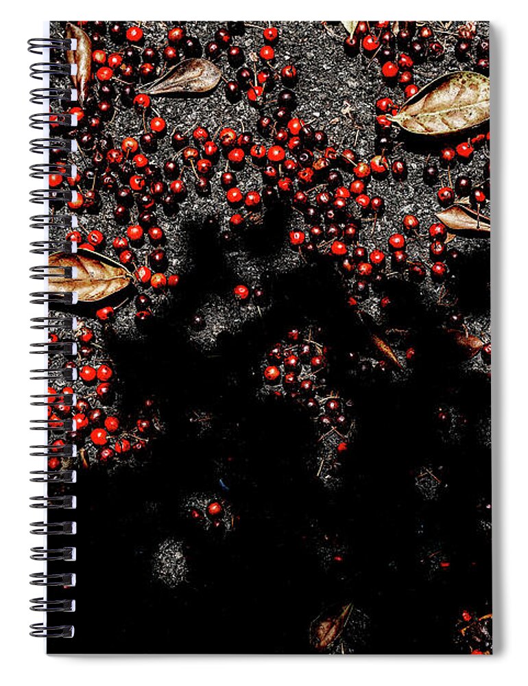 Shadow Berries Spiral Notebook featuring the photograph Shadow Berries by Sharon Popek