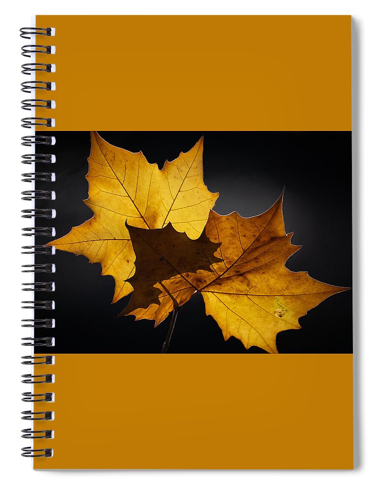 Shadow Spiral Notebook featuring the photograph Shadow by Linda Bonaccorsi