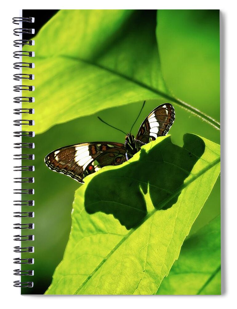 Wildlife Spiral Notebook featuring the photograph Shadow by Matthew Adelman