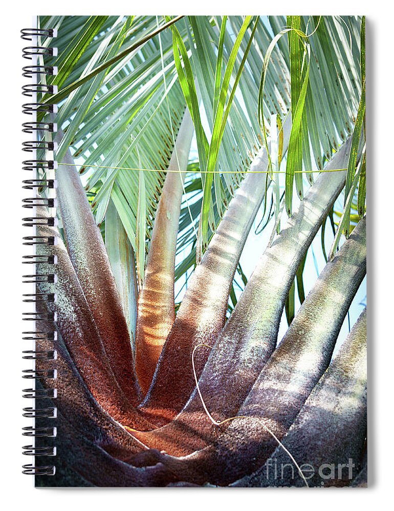 Palm Spiral Notebook featuring the photograph Shapes of Hawaii 14 by Ellen Cotton