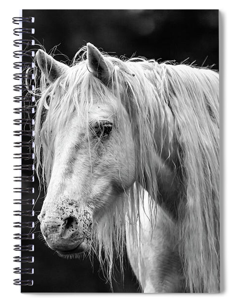 Black And White Spiral Notebook featuring the photograph Shawnee Mare and Dogwoods by Holly Ross