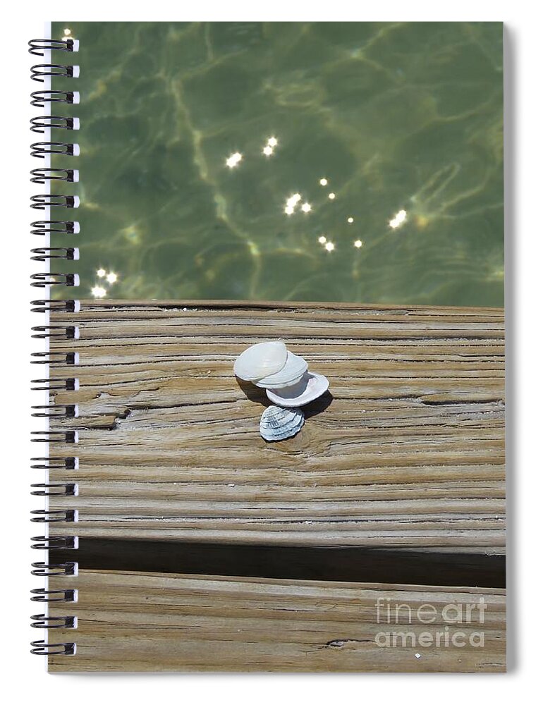Florida Spiral Notebook featuring the photograph She Sells Sea Shells by World Reflections By Sharon