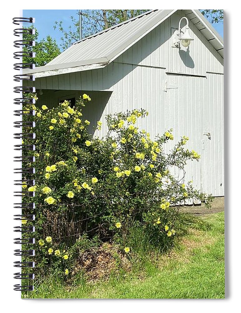  Spiral Notebook featuring the painting Shed by Anitra Boyt