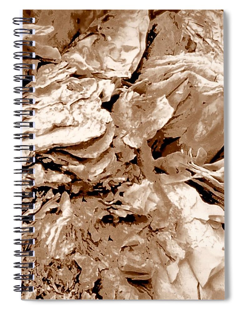 Gum Trees Spiral Notebook featuring the photograph Shedding Gumtrees Australia by VIVA Anderson