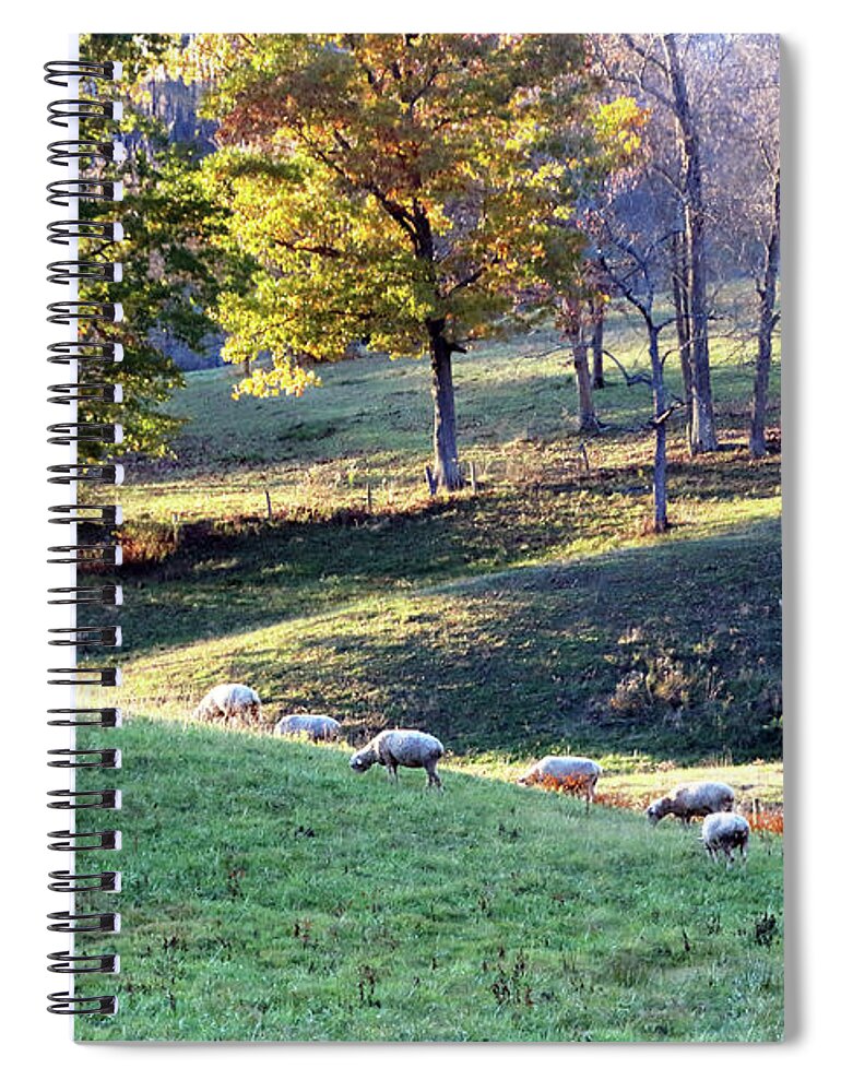 Sheep Spiral Notebook featuring the photograph Sheep in the Hills by Angela Murdock