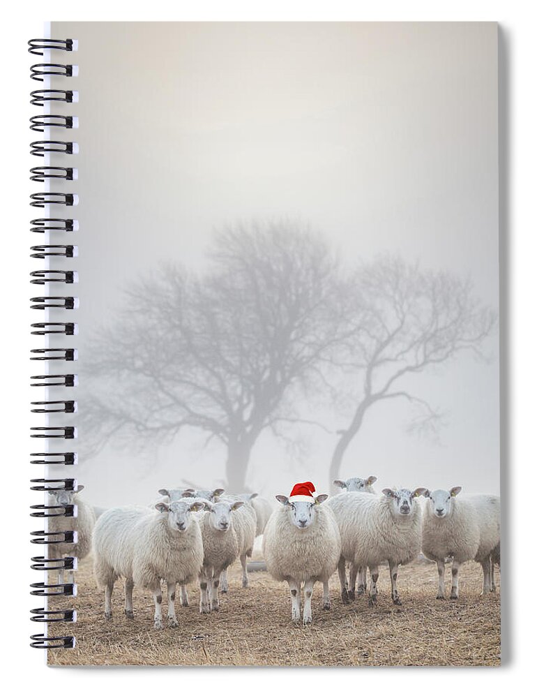 Sheep Spiral Notebook featuring the photograph Sheep in the mist - Christmas Greeting by Anita Nicholson