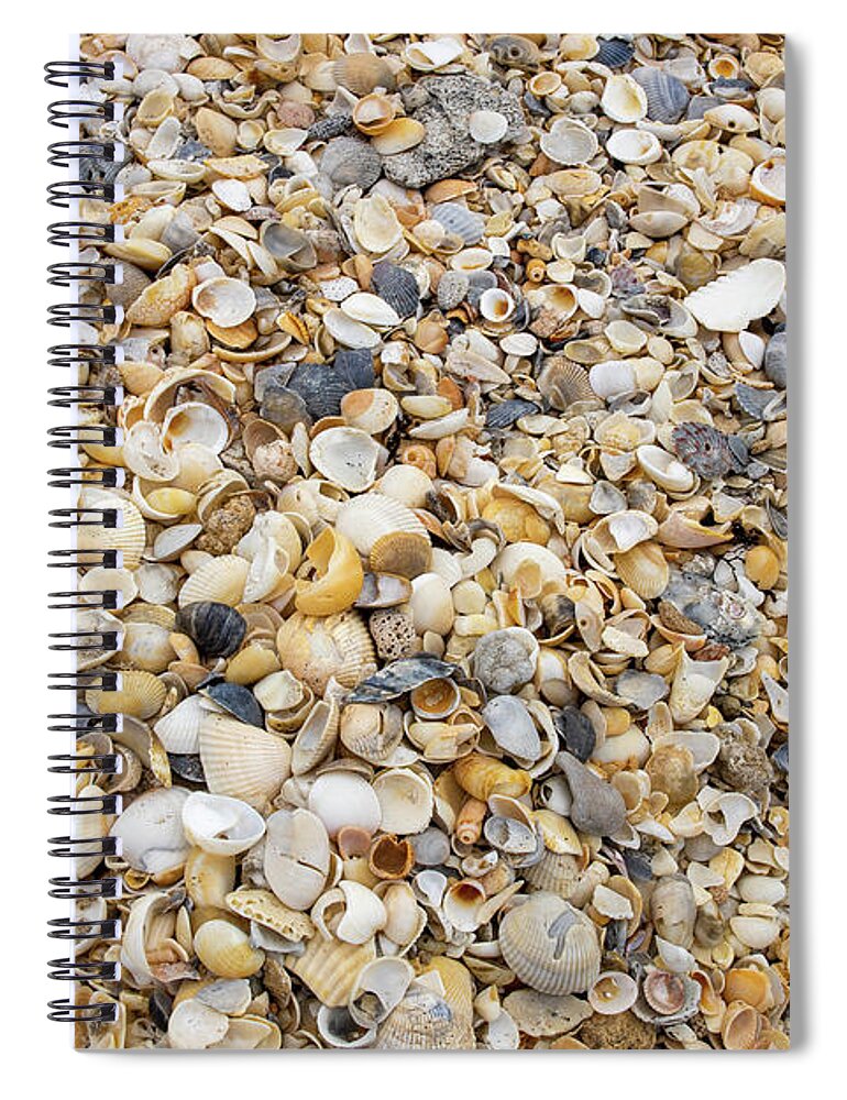 Shell Spiral Notebook featuring the photograph Shells By The Sea by Blair Damson