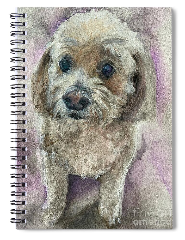 Pet Portrait Commission Spiral Notebook featuring the painting Sheyne by Jamie Derr