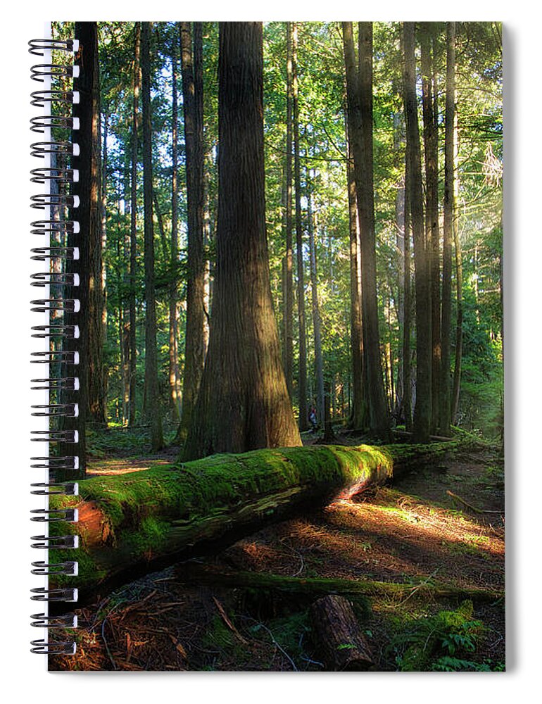 Landscape Spiral Notebook featuring the photograph Shining on Me by Allan Van Gasbeck