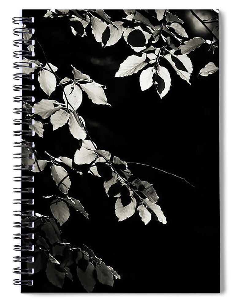  Spiral Notebook featuring the photograph Shiny Leaves 2 by Jenny Rainbow