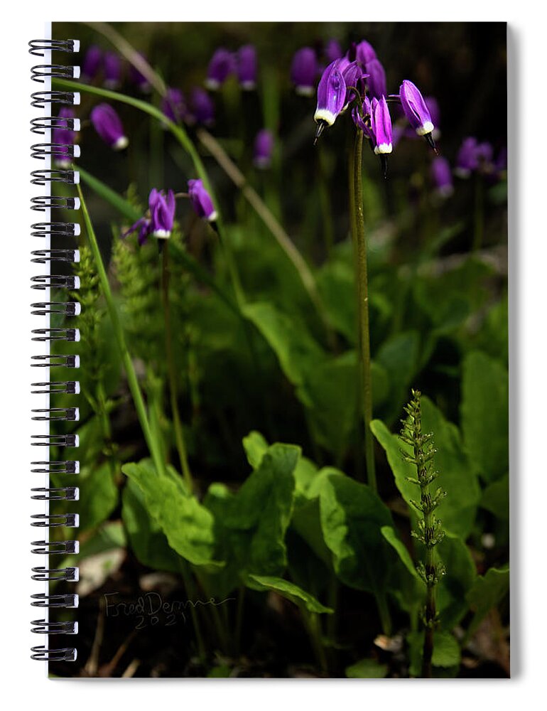 Shooting Star Spiral Notebook featuring the photograph Shootingstars by Fred Denner