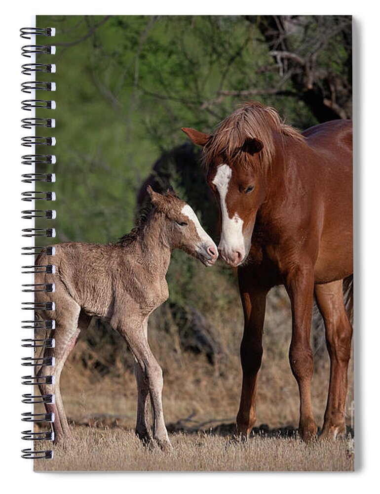 Cute Spiral Notebook featuring the photograph Sibling Love by Shannon Hastings