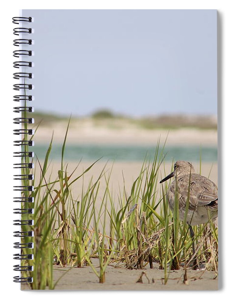 Willet Spiral Notebook featuring the photograph Side Eye by Heather E Harman