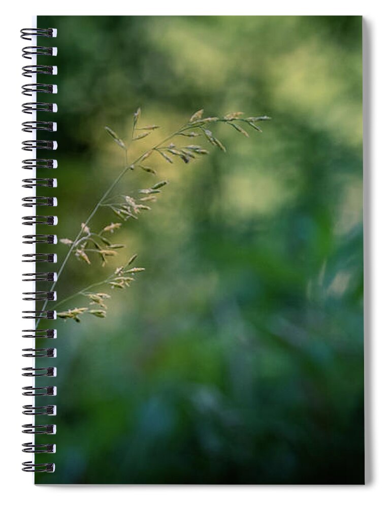 Plant Spiral Notebook featuring the photograph Signs of Summer by Allin Sorenson