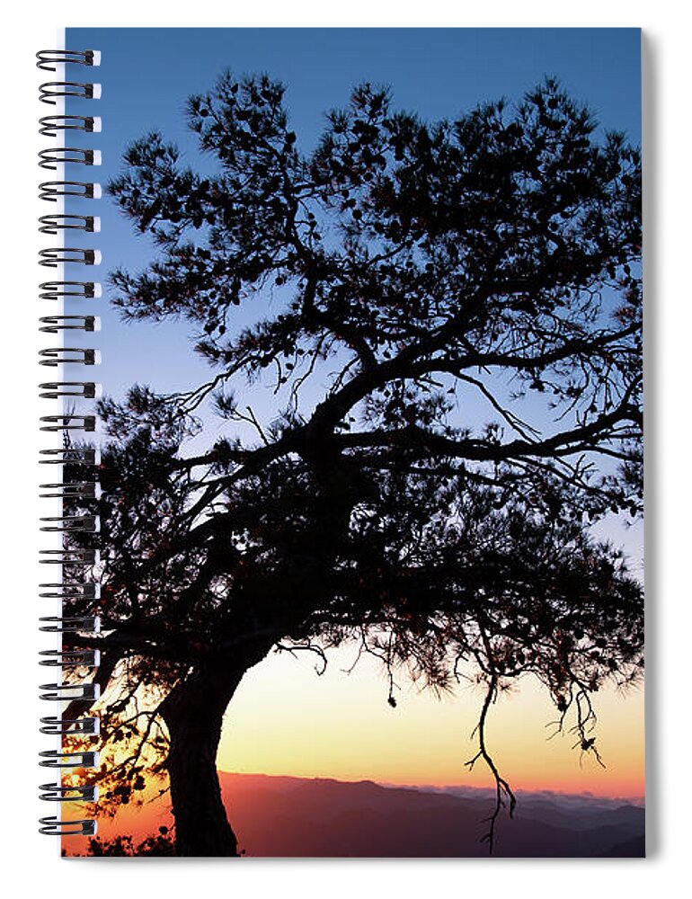 Cyprus Spiral Notebook featuring the photograph Silhouette of a forest pine tree during blue hour with bright sun at sunset. by Michalakis Ppalis