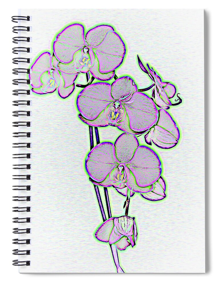 Orchid Spiral Notebook featuring the photograph Simply Orchid by Roberta Byram