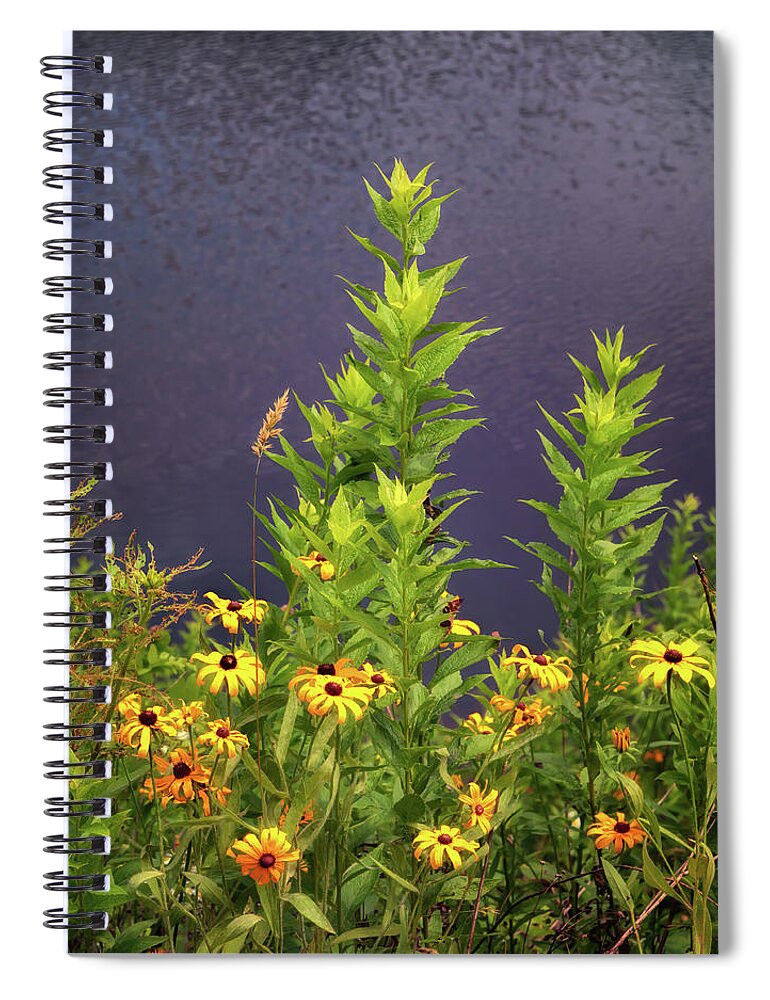 Wildflowers Spiral Notebook featuring the photograph Sims Pond Blooms - Blue Ridge Parkway by Susan Rissi Tregoning