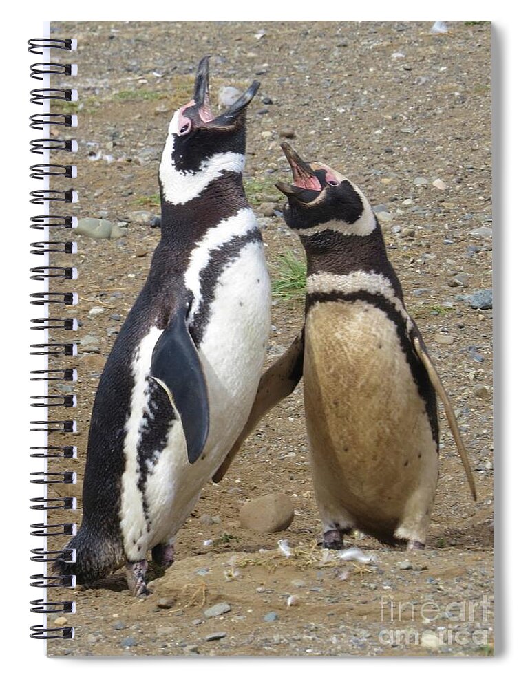Penguins Spiral Notebook featuring the photograph Sing a Happy Song by World Reflections By Sharon