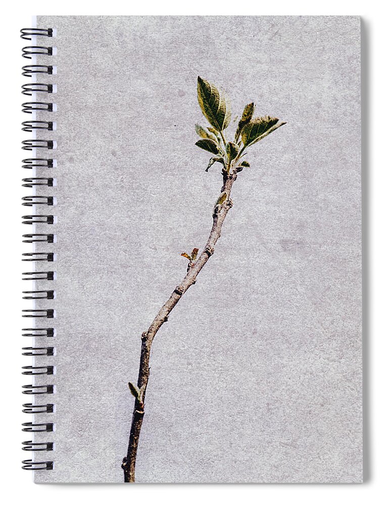 Photography Spiral Notebook featuring the photograph Single beauty by Yasmina Baggili