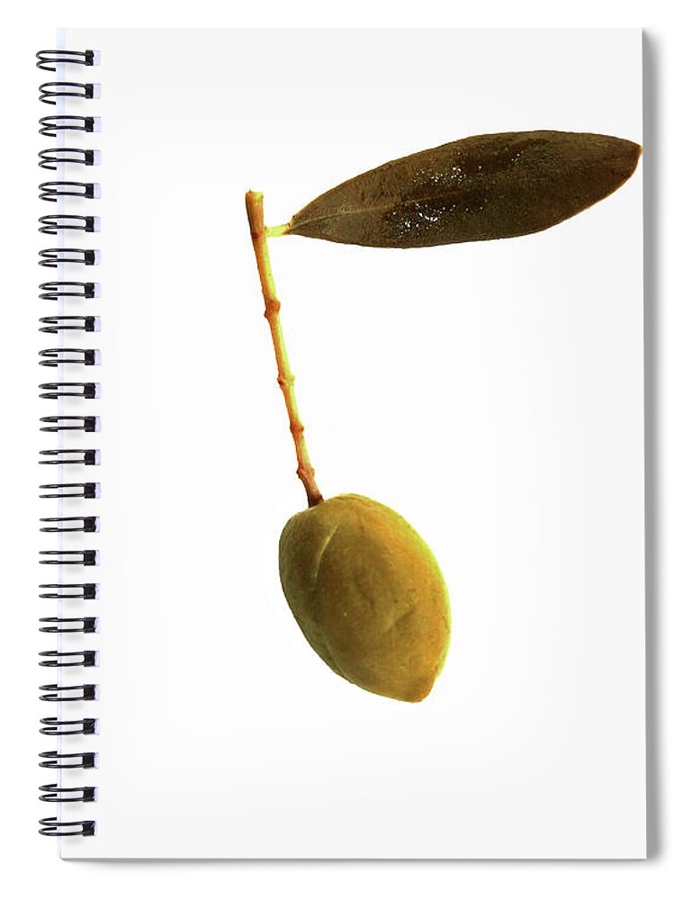 Green Olive Spiral Notebook featuring the photograph Single Green Olive Isolated on white with a single leaf square by Pete Klinger
