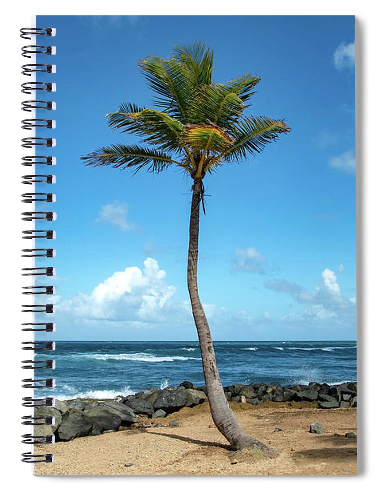Palm Spiral Notebook featuring the photograph Single Palm Tree in Old San Juan, Puerto Rico by Beachtown Views