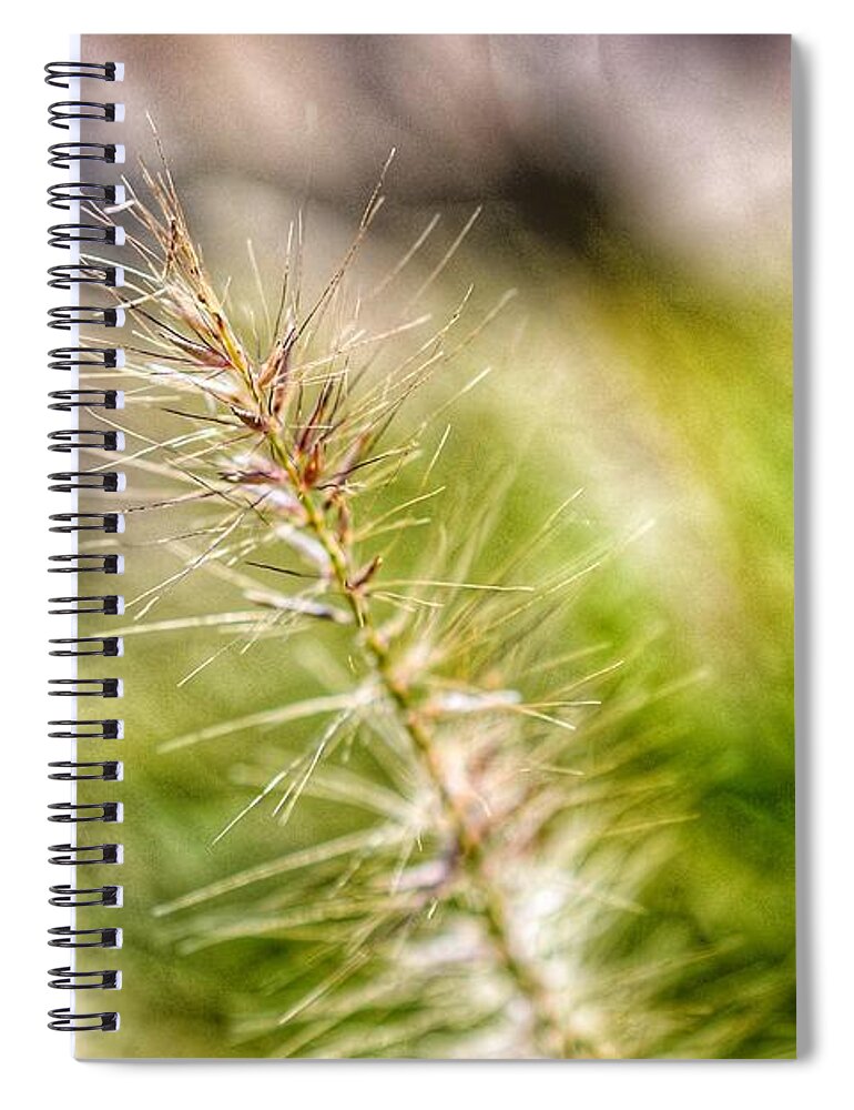 Photo Spiral Notebook featuring the photograph Singular Blade of Grass by Evan Foster