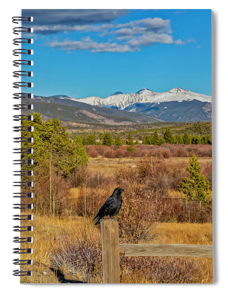 Crow Spiral Notebook featuring the photograph Sittin' Pretty by Lorraine Baum