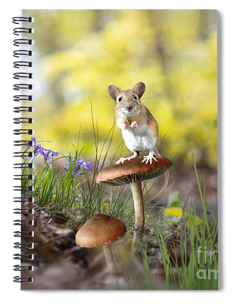Field Mouse Spiral Notebook featuring the mixed media Sitting Pretty by Morag Bates