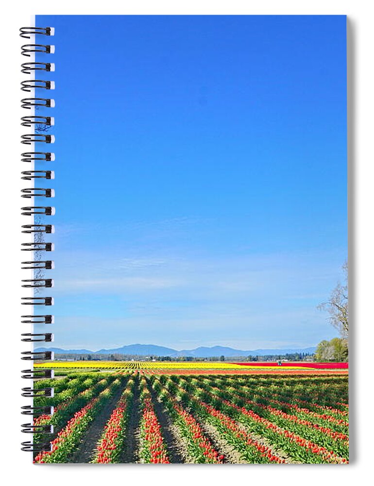 Landscape Spiral Notebook featuring the photograph Skagit Valley Tulip Fields by Bill TALICH