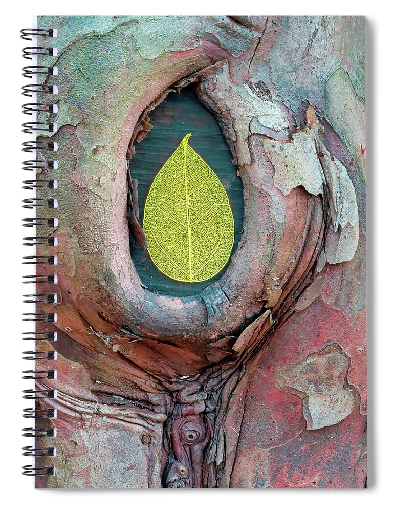 Skeleton Leaf Spiral Notebook featuring the photograph Skeleton Leaf In Tree Bark by Gary Slawsky