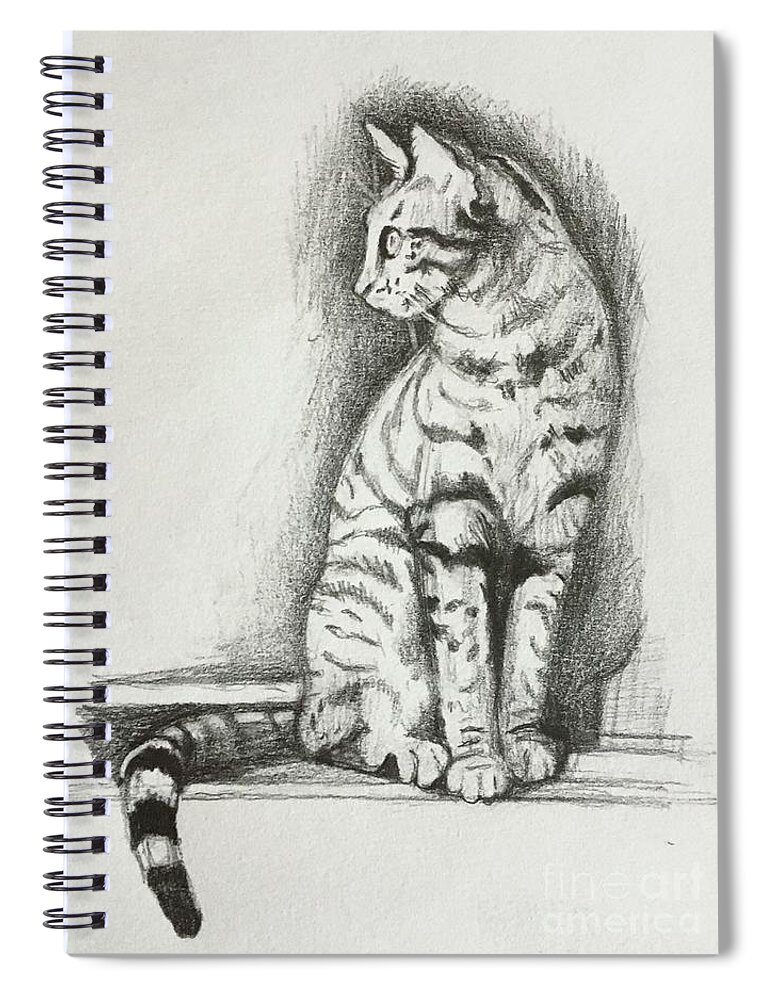 Sketch of cat Spiral Notebook by Irina Serebrianskaya - Fine Art