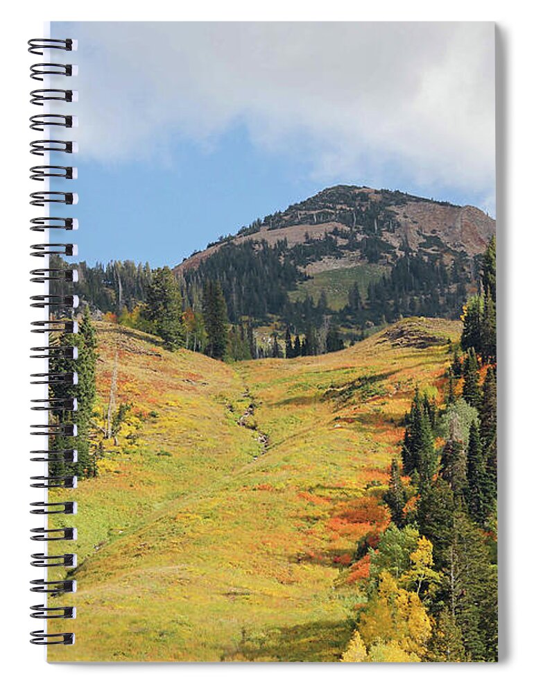 Autumn Spiral Notebook featuring the photograph Ski Slope in Autumn by Robert Carter
