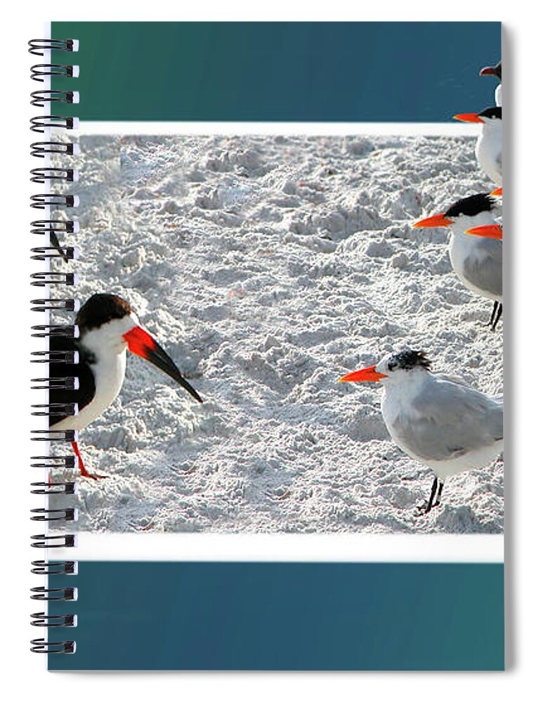 Fauna Spiral Notebook featuring the digital art Skimmers vs Terns by Mariarosa Rockefeller