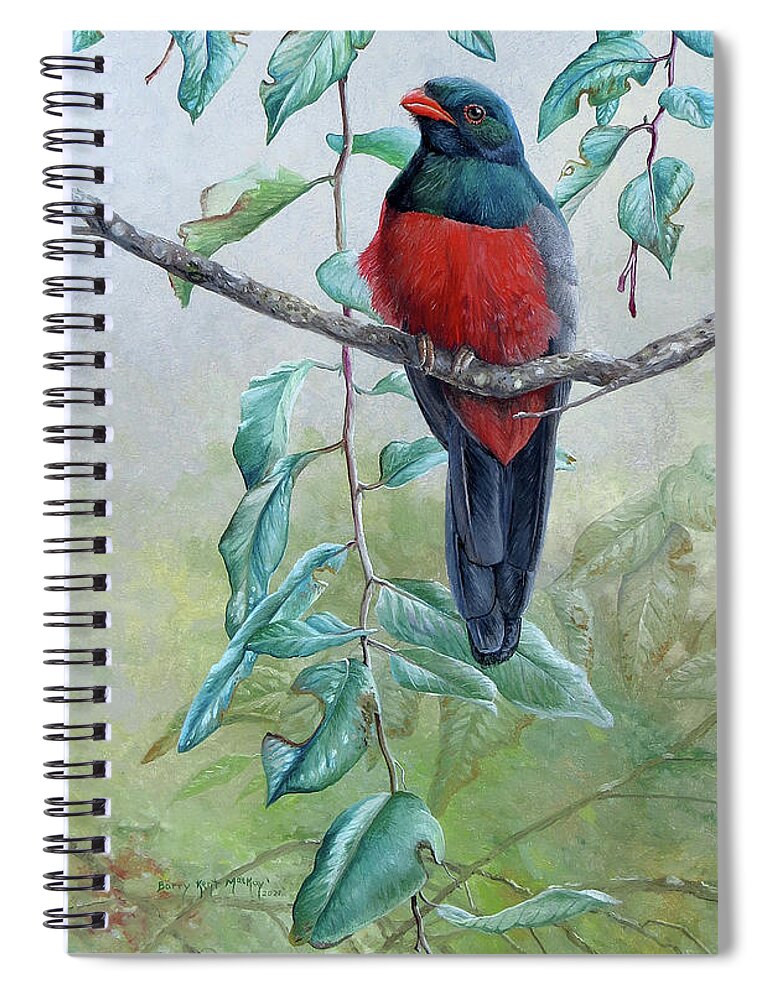 Slaty-tailed Trogon Spiral Notebook featuring the painting Slaty-tailed Trogon by Barry Kent MacKay